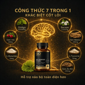 Bổ não Go Healthy Ginkgo 9000+ hoạt huyết dưỡng não tăng cường tuần hoàn não, 60v