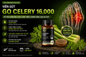 Viên phòng & hỗ trợ điều trị Gút (Gout) giảm sưng đau Go Healthy GO Celery 16000 Acid Balance (120v)